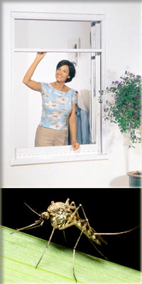 Bild oben: Neher Systeme GmbH & Co. KG | Bild unten: Frank-Hollenbach - www.pixelio.de